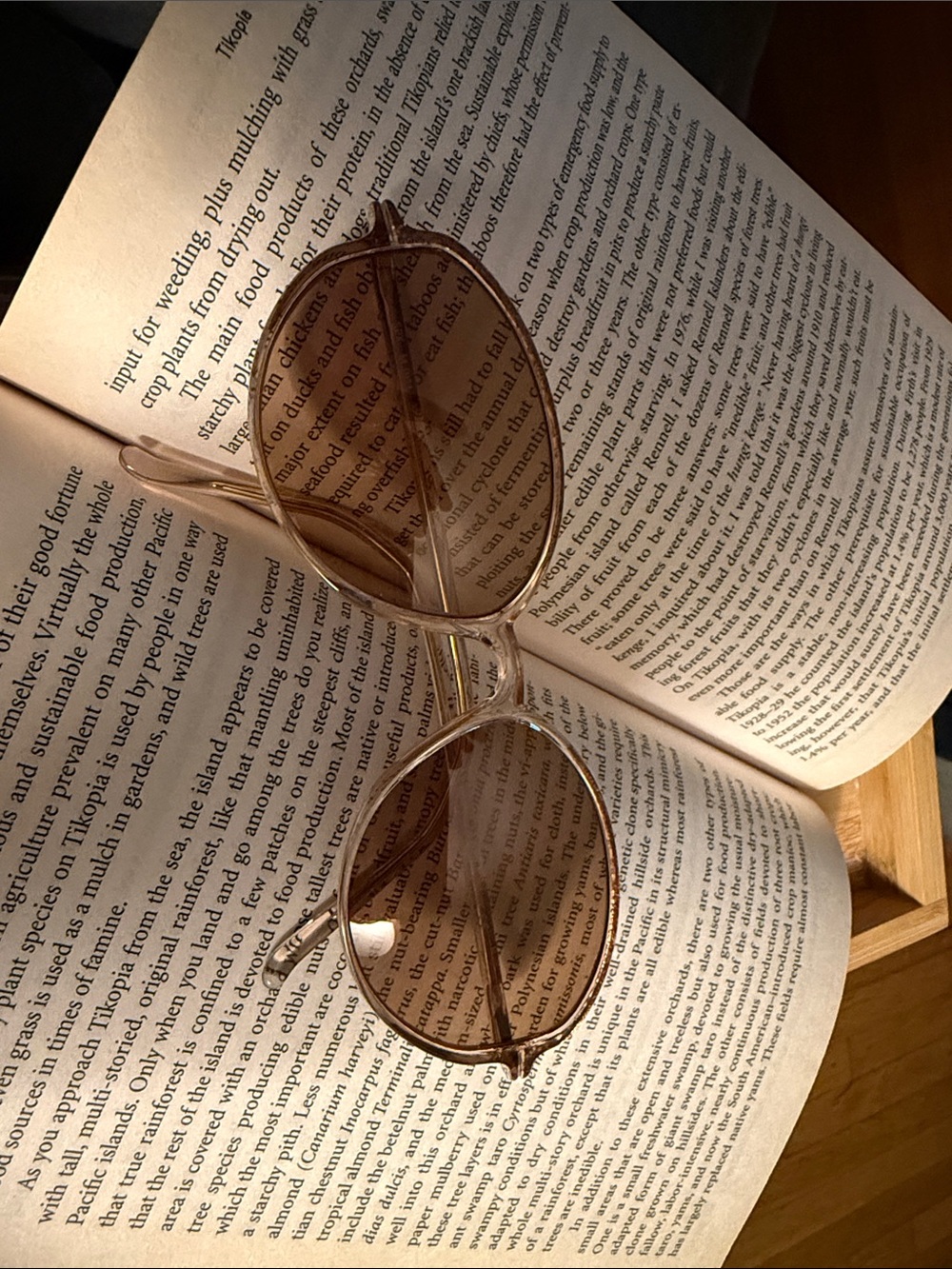 Sillouette   Sunglasses